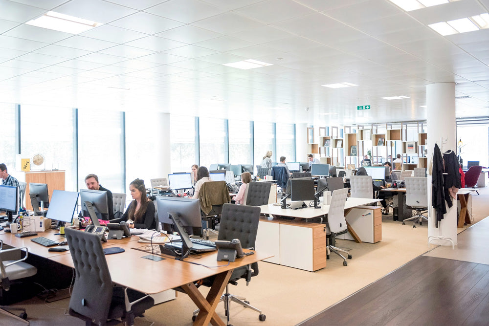 The Importance of Employee Engagement in the Workplace